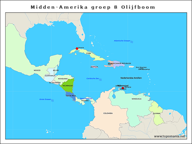 midden-amerika-groep-8-olijfboom