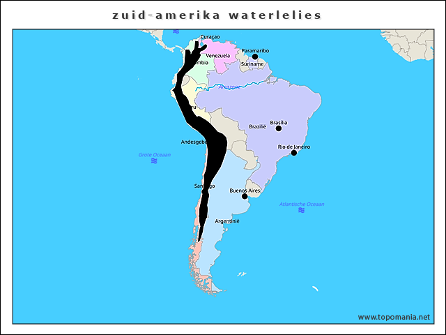 zuid-amerika-waterlelies