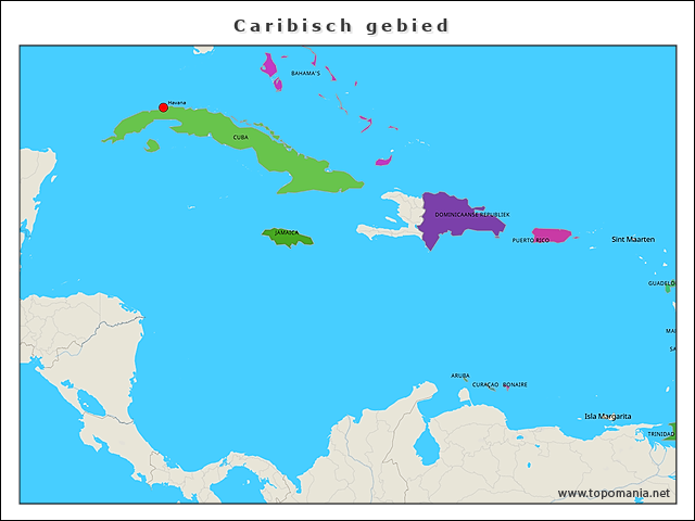 caribisch-gebied-senna-koedooder