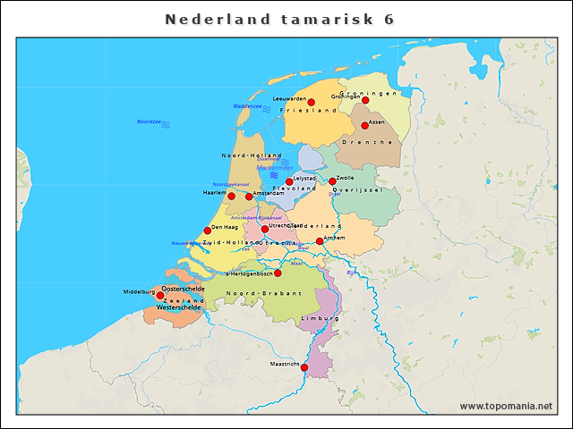 nederland-tamarisk-6