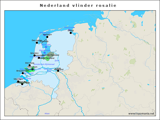 nederland-vlinder-rosalie